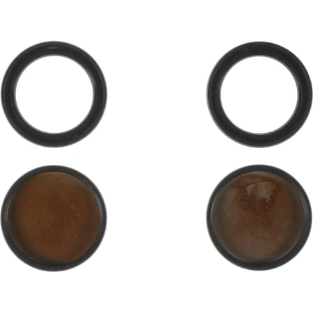 Reinz ENGINE CAMSHAFT SEAL 81-10550-00